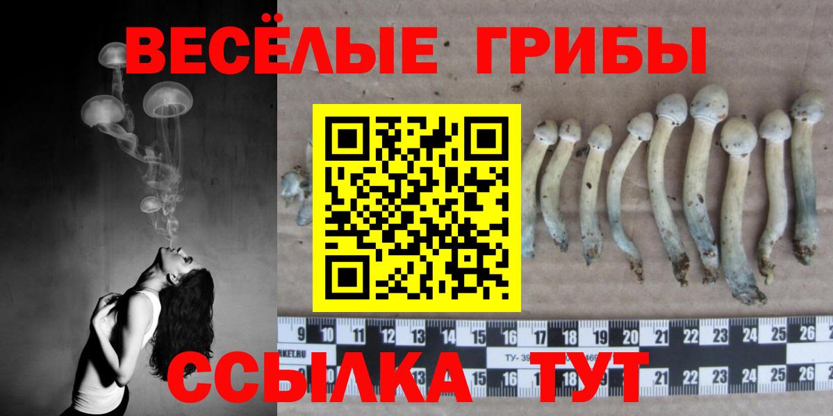 Нижнеудинск  Галлюциногенные грибы Cubensis  Вход с VPN 